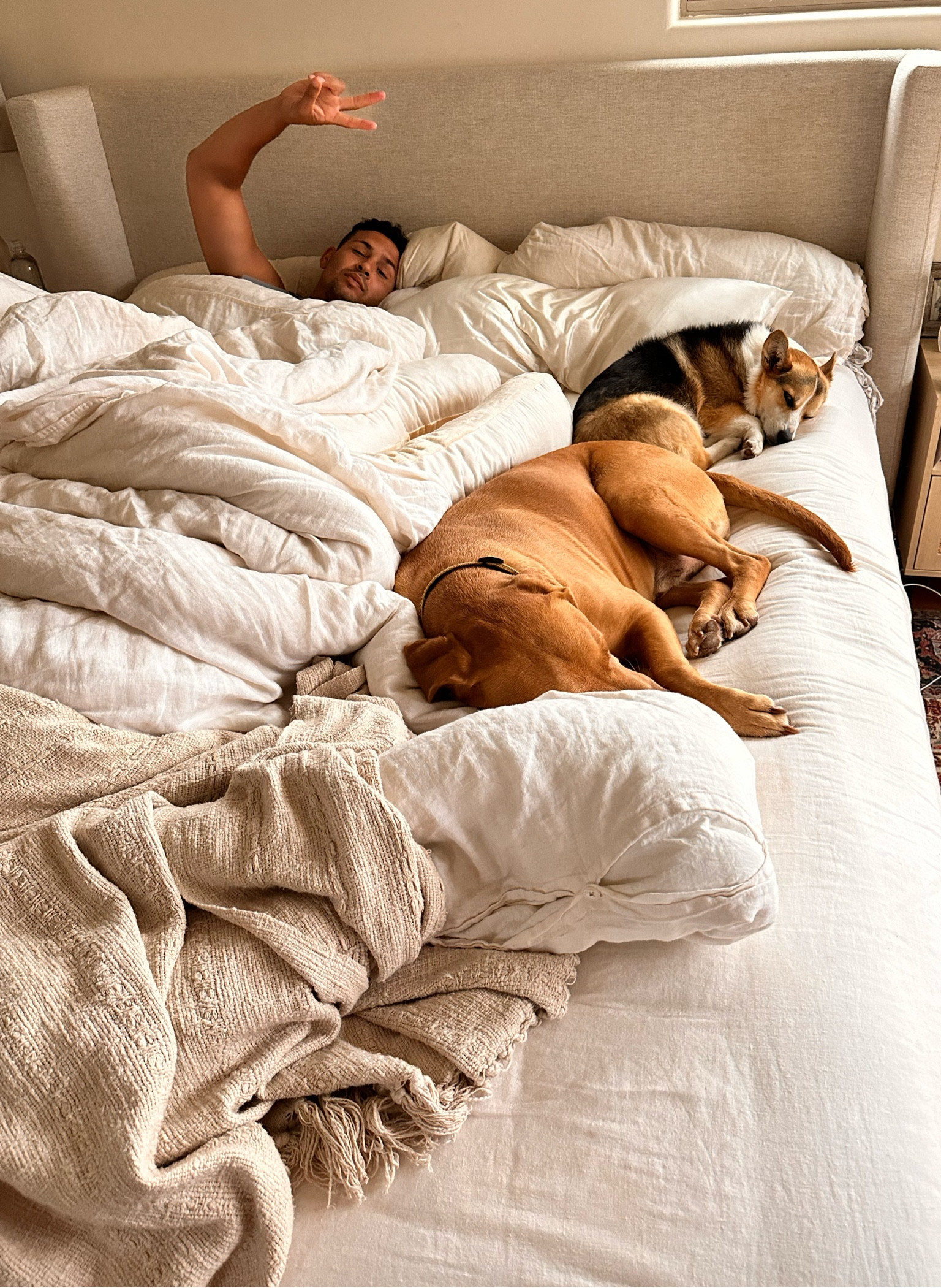 Linen bedding that the whole family loves. It has that cozy “washed/worn in” look

#LTKhome