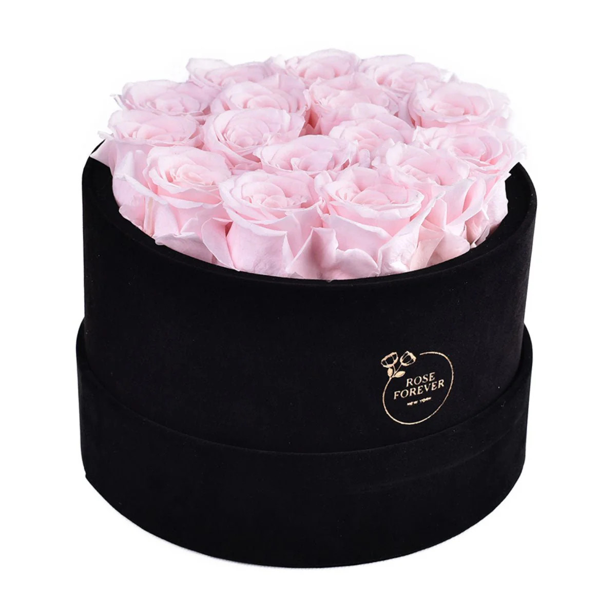 16 Light Pink Roses - Black Round Velvet Box | Rose Forever 