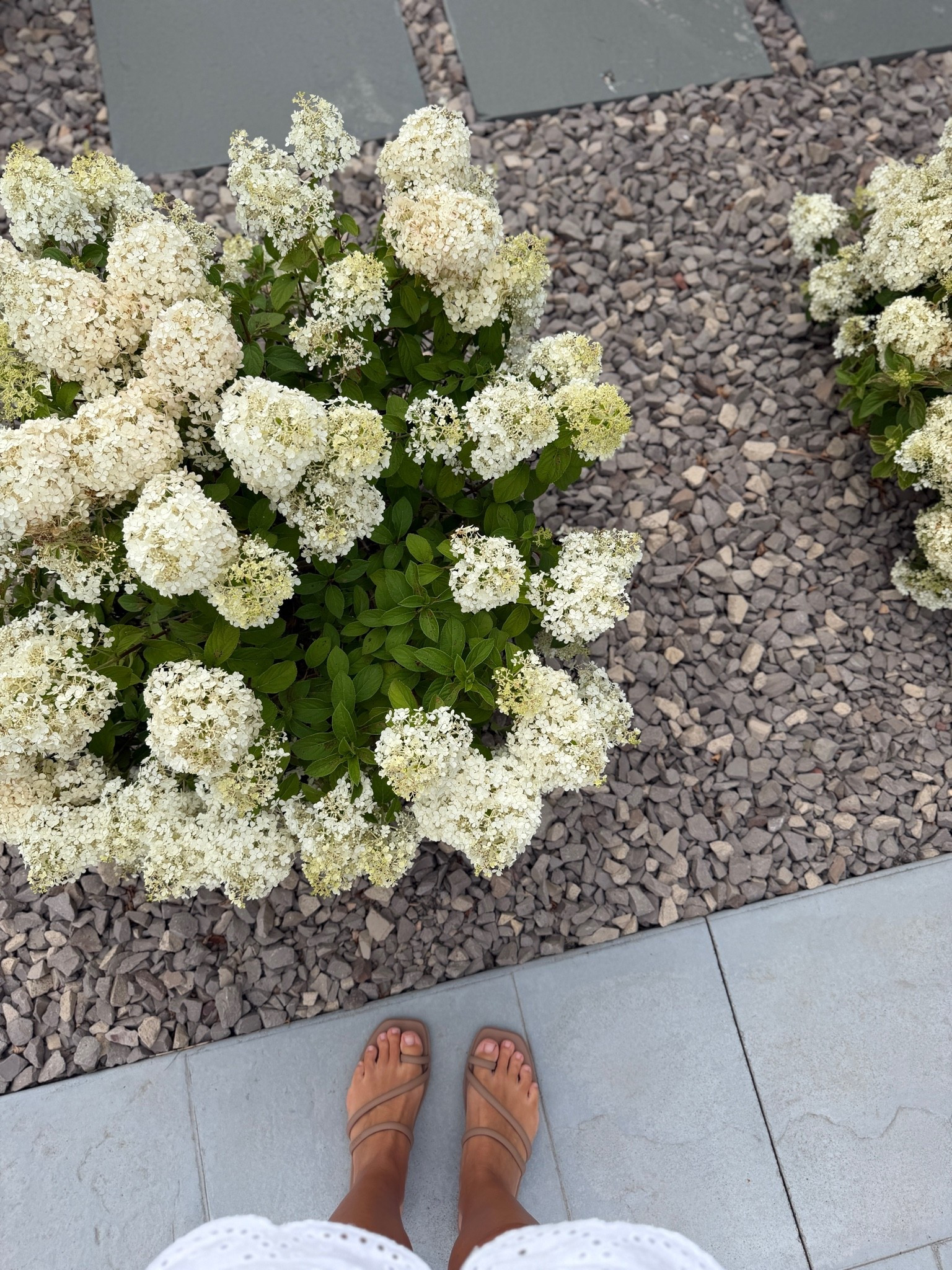 Linking my sandals here, currently on sale! Fit TTS and sooo comfy.

#LTKSaleAlert #LTKSeasonal