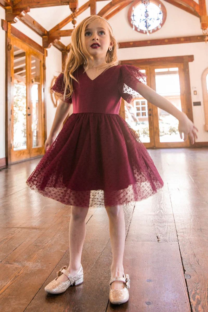 MINI PARTY DRESS IN WINE | Ivy City Co