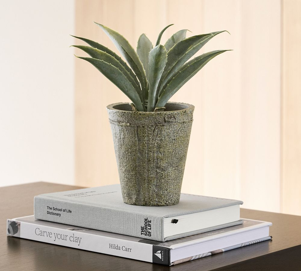 Faux Aloe Plant | Pottery Barn (US)