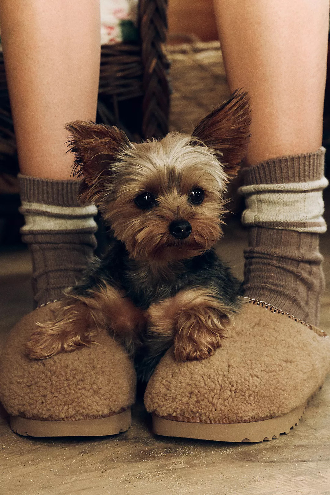 UGG Tasman Maxi Curly Slippers | Anthropologie (US)