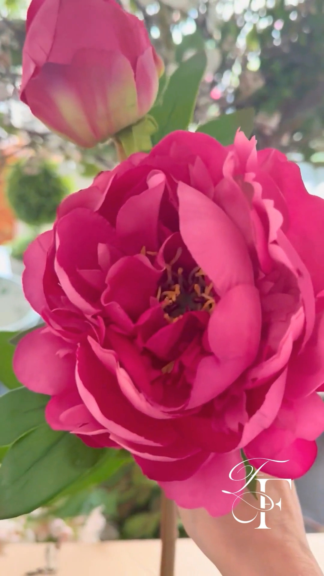 The real touch pink peony🌸 perfect for Mother’s Day flowers. More ideas coming soon! #ltkmothersdaygifts #ltkspring

#LTKHome #LTKdayinmylife