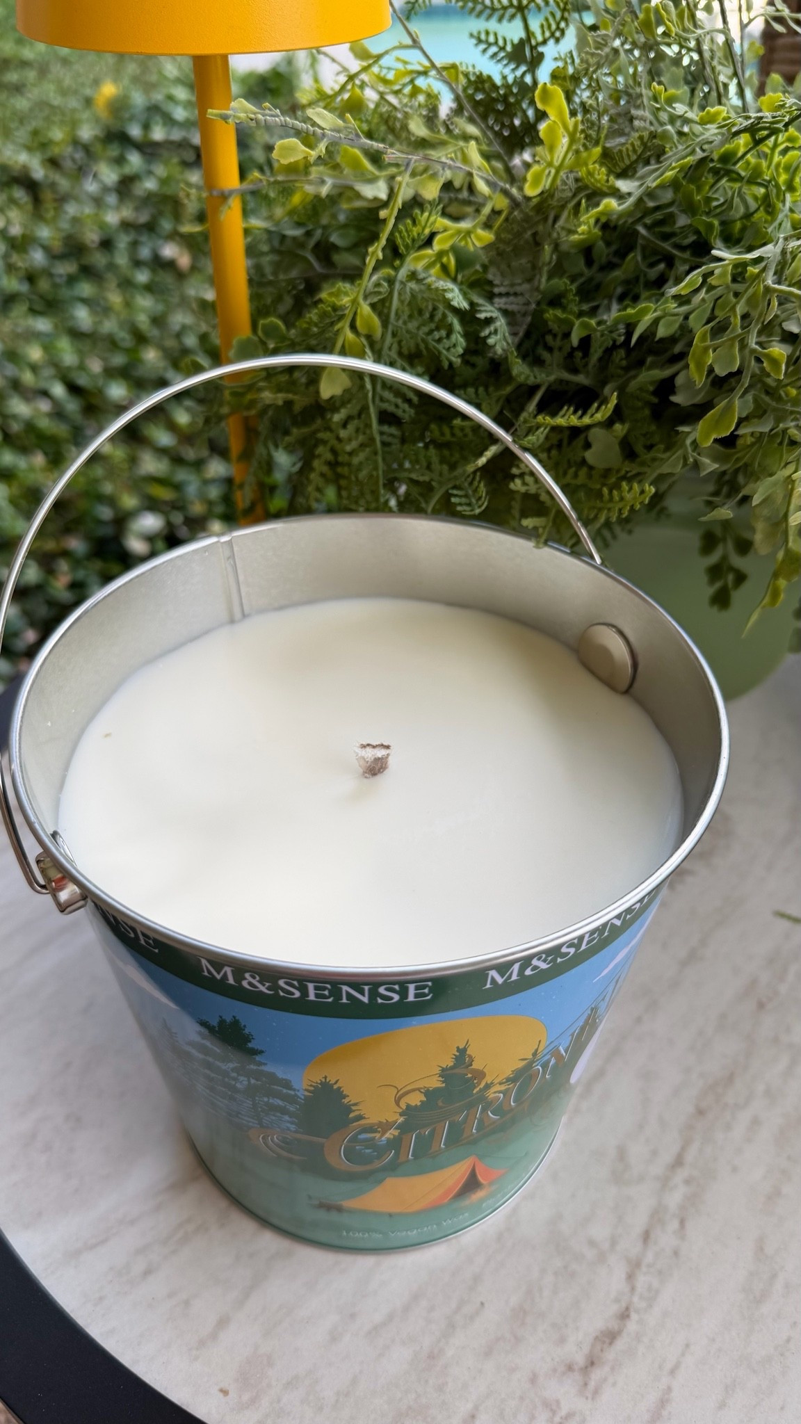 Citronella 💛

#outdoors

#LTKSeasonal #LTKSwim #LTKHome