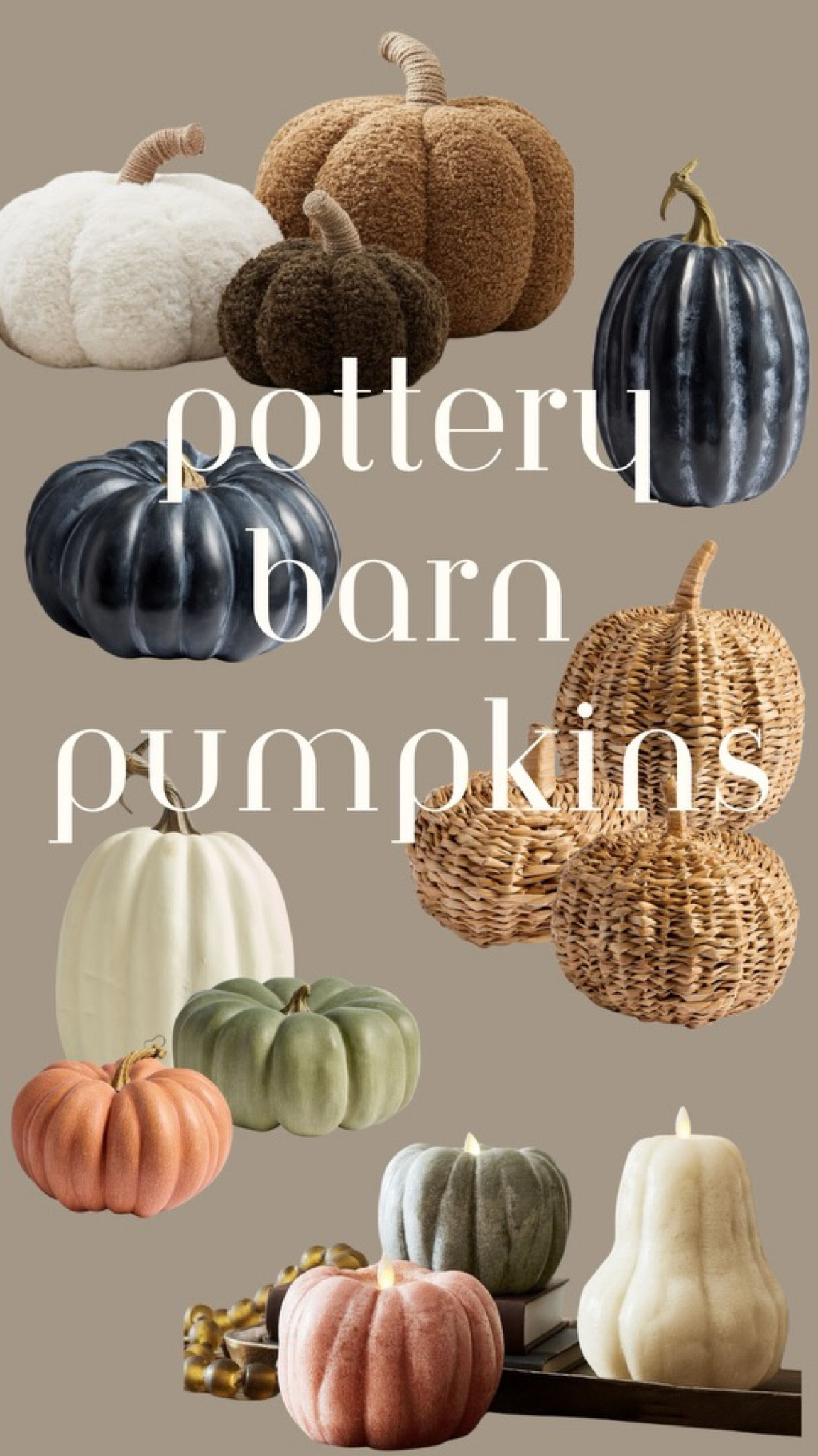 Pottery Barn pumpkins!

#LTKSeasonal #LTKHalloween #LTKHome