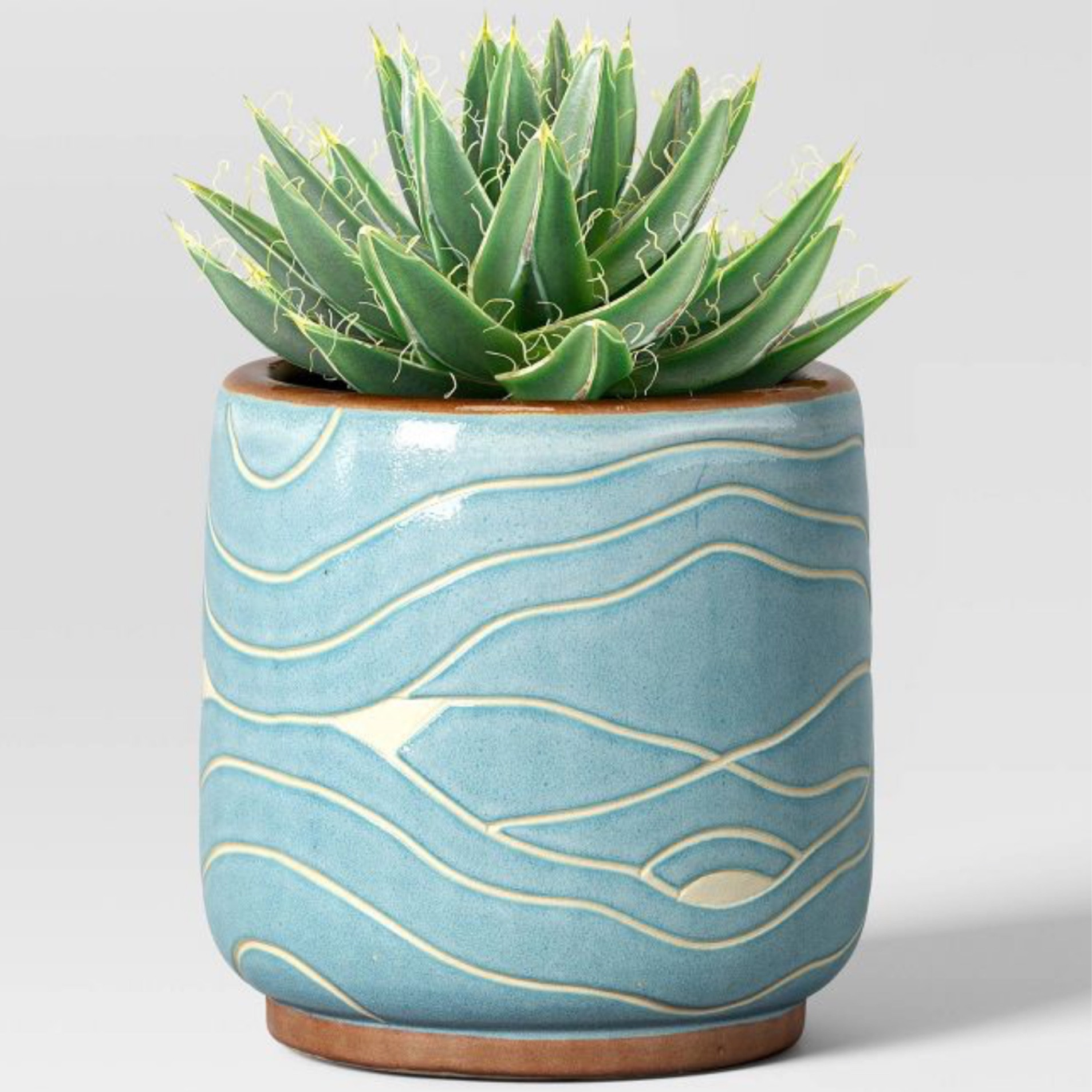 New in at Target.

Home decor
Patio decor
Spring decor

#LTKSeasonal #LTKhome #LTKFind