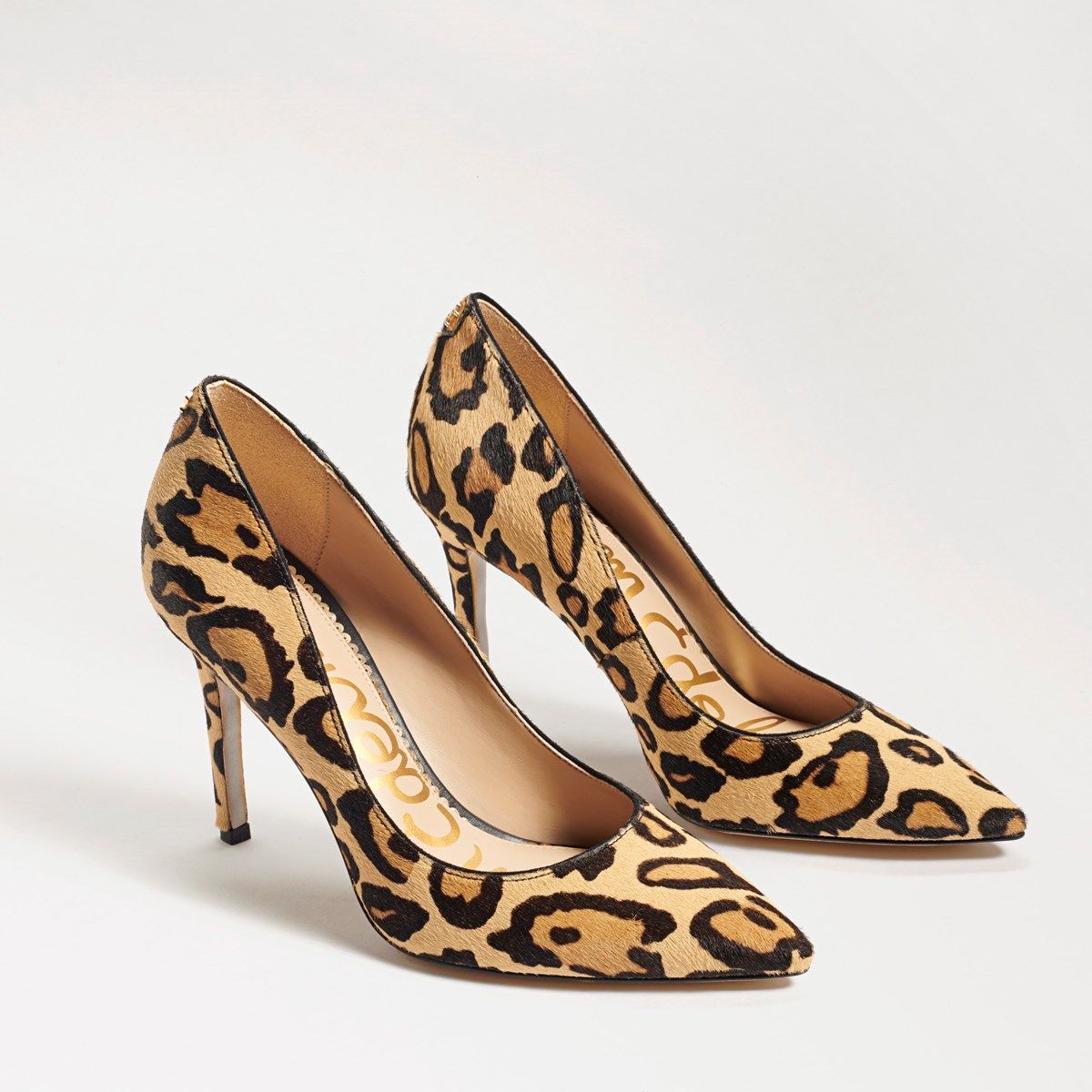 Hazel Pointed Toe Heel | Sam Edelman