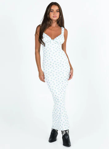 Lupton Maxi Dress White / Blue Floral | Princess Polly US
