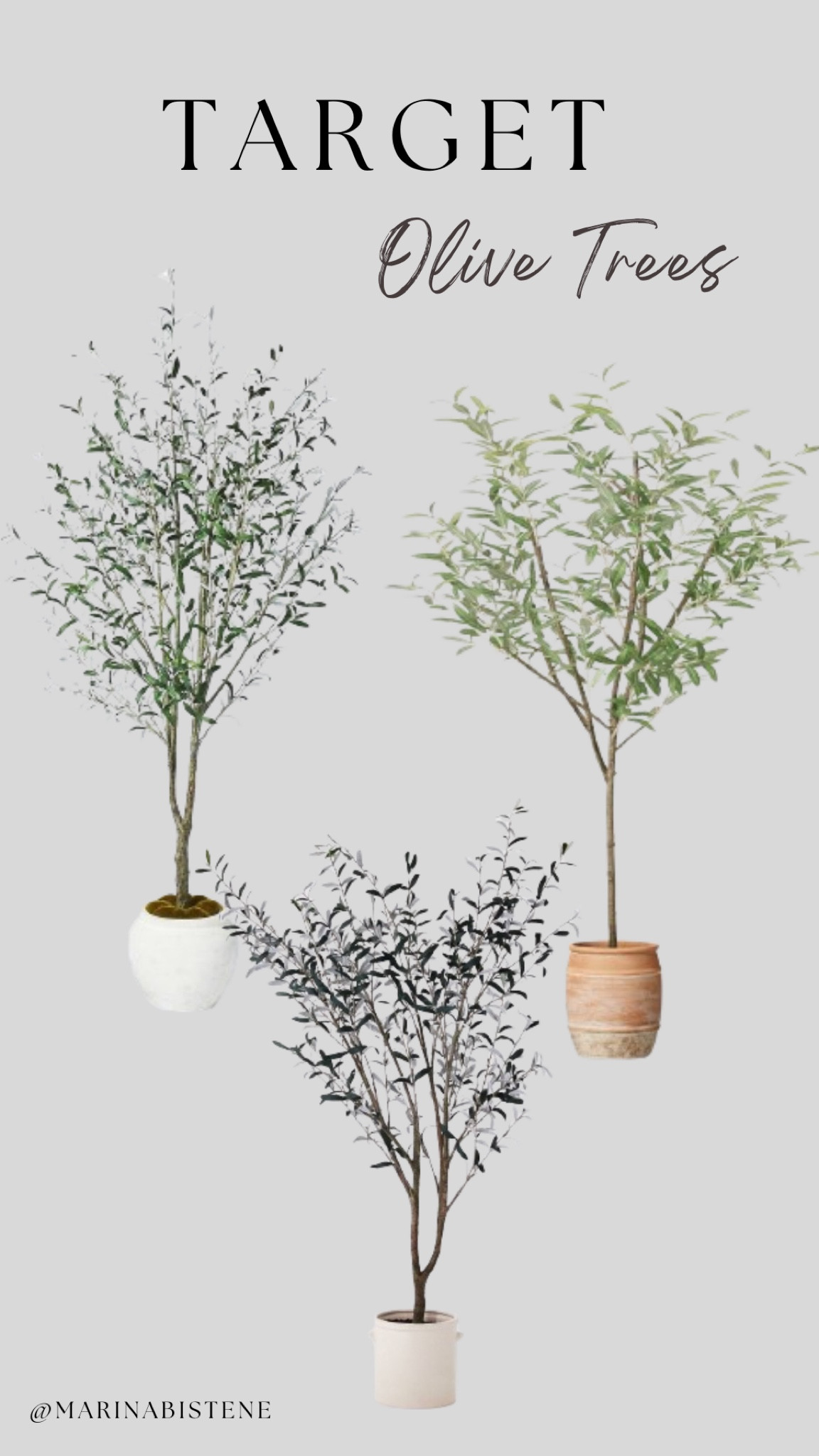 Target Olive Trees! My favorite choices for home  

#LTKstyletip #LTKSeasonal #LTKhome