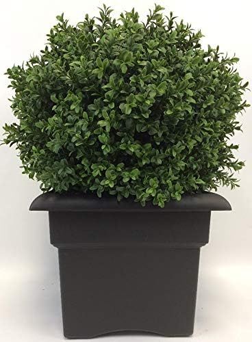 Outdoor Artificial UV Rated 2 ft Ball Boxwood Topiary Tree with Square Black Planter | Amazon (US)
