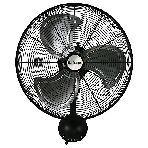 Hurricane Wall Mount Fan - 20 Inch, Pro Series, High Velocity, Heavy Duty Metal Wall Mount Fan for I | Amazon (US)