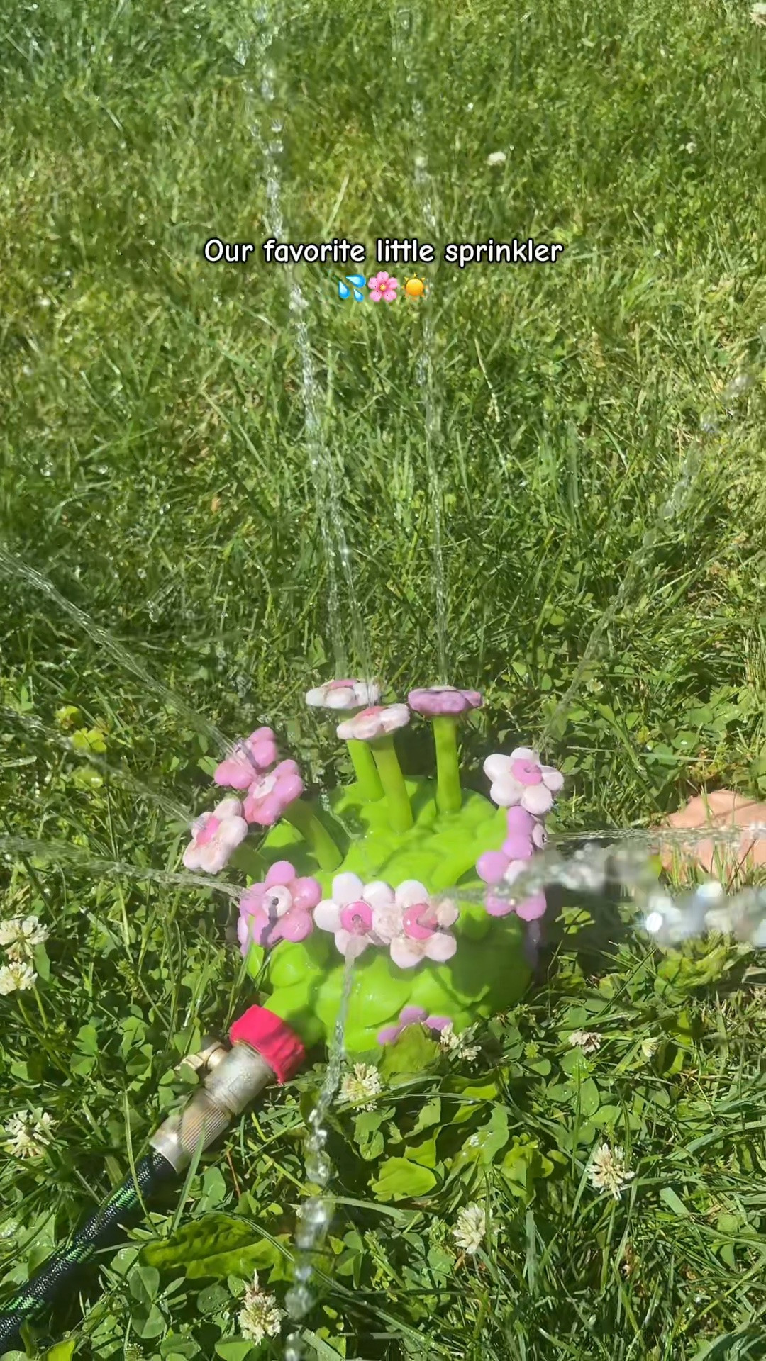 Our go to little sprinkler!

#LTKmomlife #LTKdayinmylife #LTKSwim