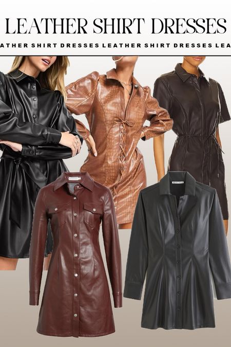 leather shirt dress picks
🤎🌼🪩🪽💫 
alannamartine.com 

#LTKstyletip #LTKfindsunder100 #LTKSeasonal