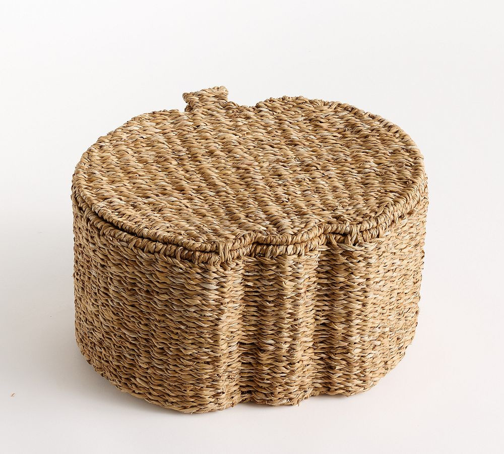 Safi Pumpkin Basket | Pottery Barn (US)