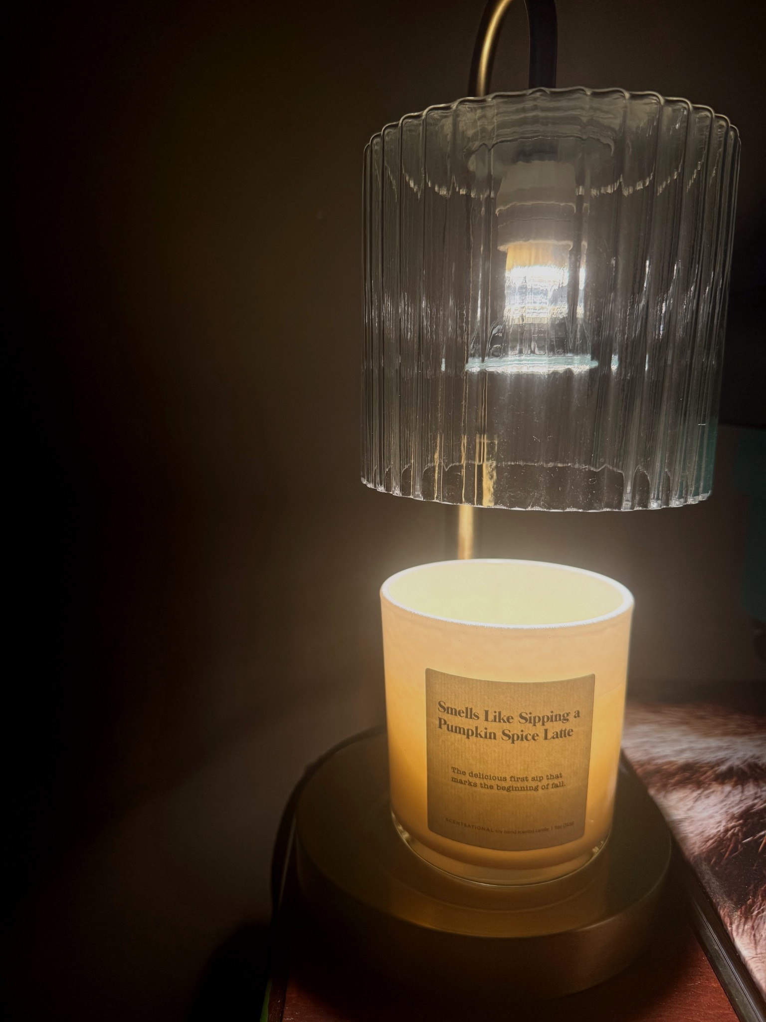 Candle warmer😌🕯️

#giftidea #candle #candlewarmer #lamp #fall #homedecor #fallcandle #cozyseason

#LTKFindsUnder50 #LTKHome #LTKSeasonal