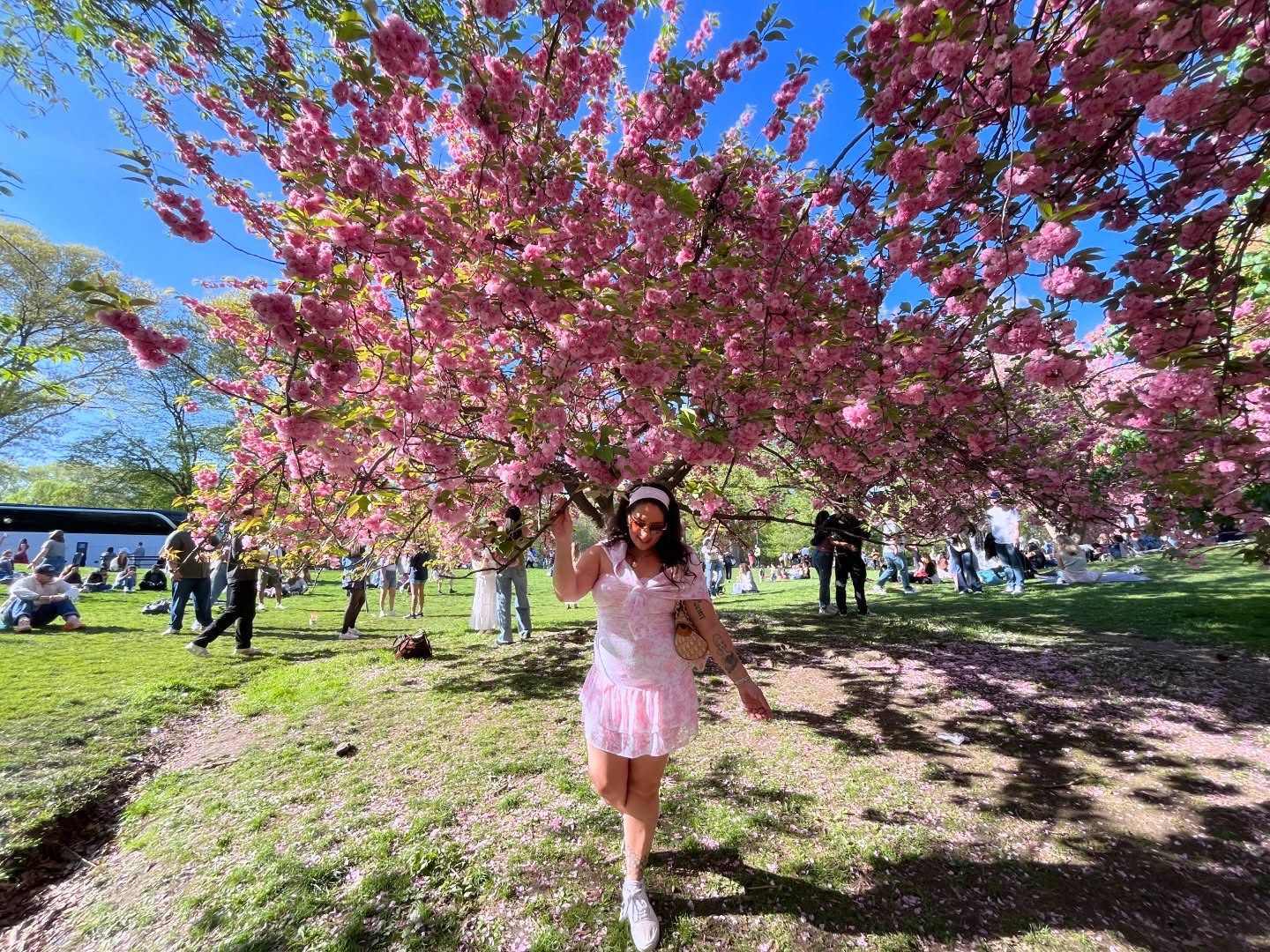 When they ask me what my favorite season is I’ll say cherry blossom 🌸 season 💖🌆🌸