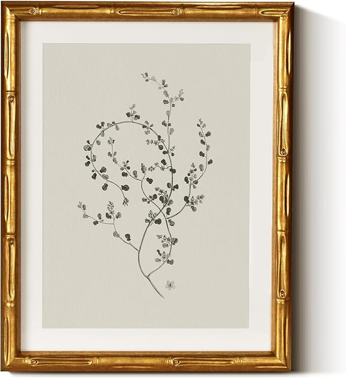 InSimSea Gold Bamboo Framed Canvas Wall Art, Minimalist Floral Botanical Paintings, Antique Vinta... | Amazon (US)