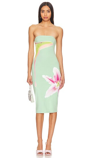 Luna Moth Dress in Luna Moth | Revolve Clothing (Global)