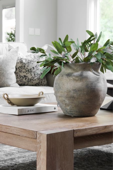 These faux eucalyptus bundles are so good! I grabbed them last summer and I love them for a neutral base in our family room! 

#LTKStyleTip #LTKHome