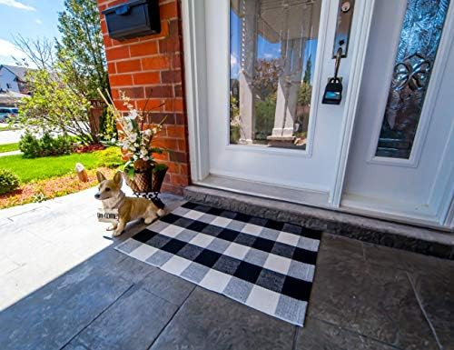 Outdoor Porch Rug - Checkered Door Mat for Layering, Black and White Rug - Outdoor Buffalo Check ... | Amazon (US)