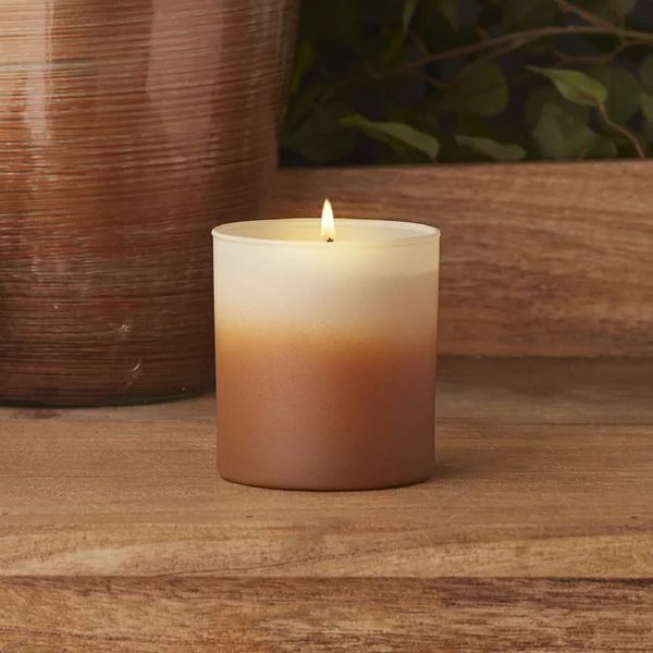 Acorns and Suede Scented Jar Candle | Wayfair North America
