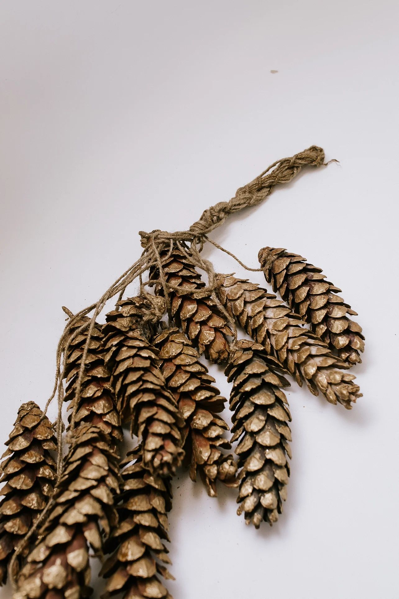 Briar Pine Cone Cluster - Gold | THELIFESTYLEDCO