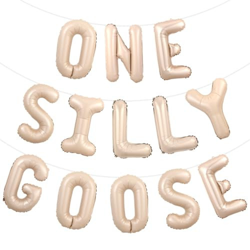 Wonmelody Goose 1st Birthday Party Decor One Silly Goose Birthday Decor One Silly Geese Balloon Banner Our Little Geese is Turning One Farm Animal Themed Party Decor for Boy Girl Beige Funny 1st Bday | Amazon (US)