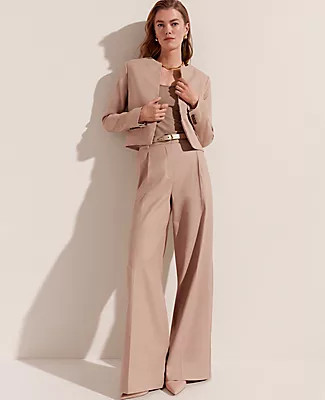 Ann Taylor The Pleated Wide-Leg Pant in Linen Twill | Ann Taylor (US)