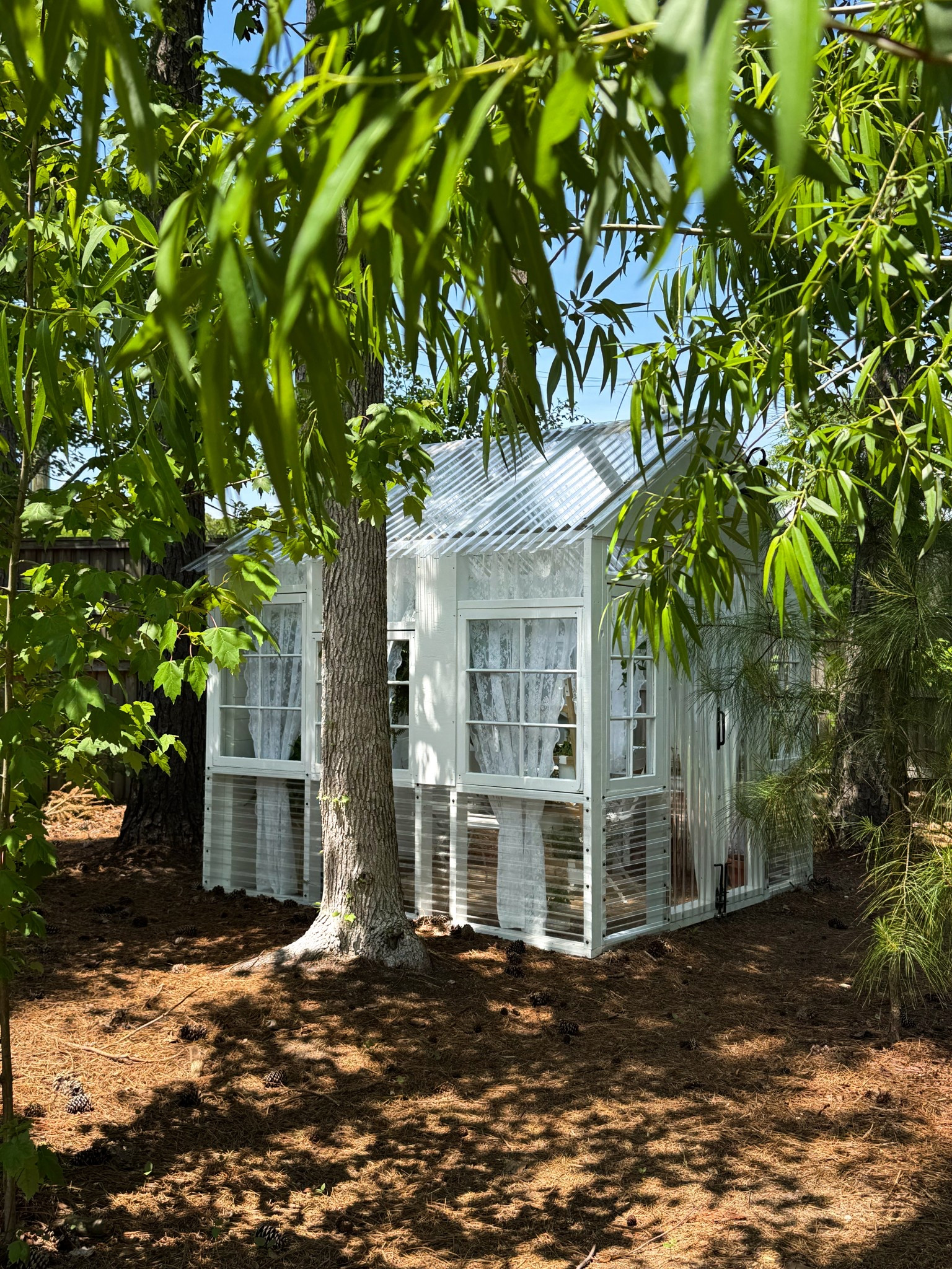 Shop my favorite items in the greenhouse! 

#LTKHome #LTKSeasonal #LTKSaleAlert