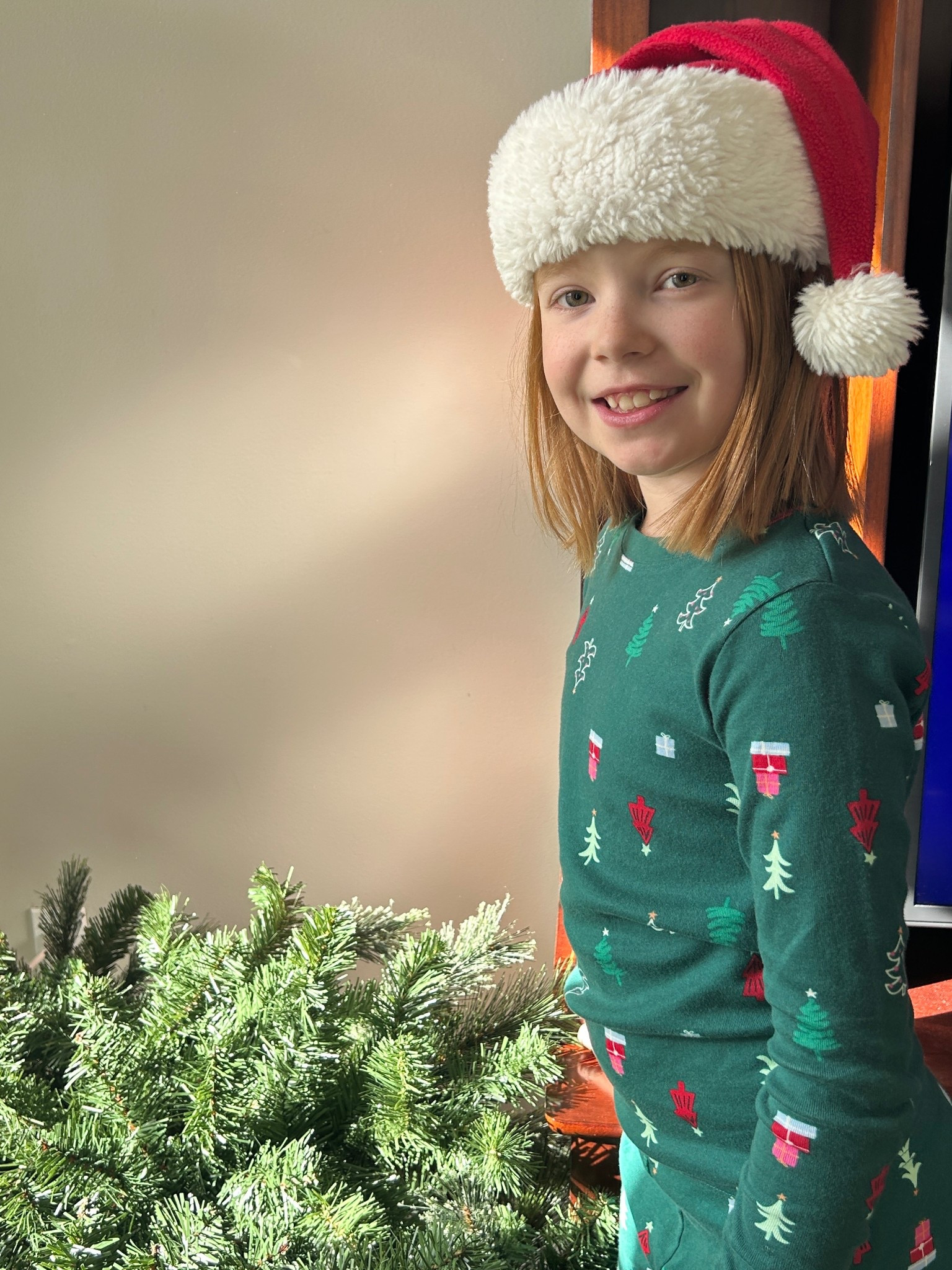 Kids Holiday pj’s

#LTKKids