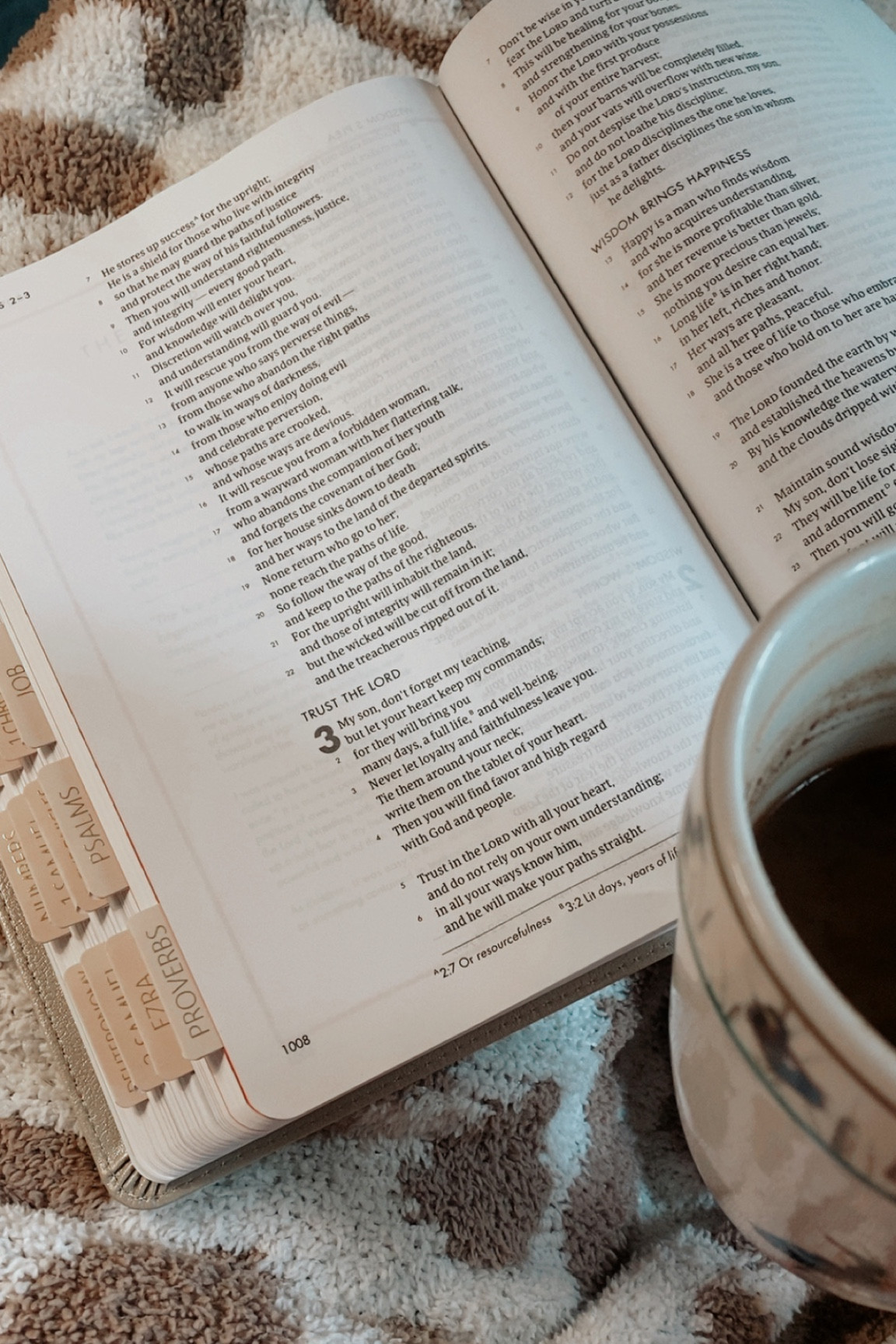 Bible & bible tabs