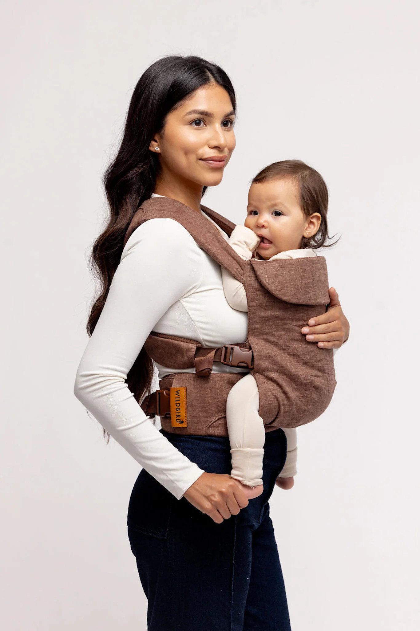 Cormorant - Aerial Carrier | Wildbird