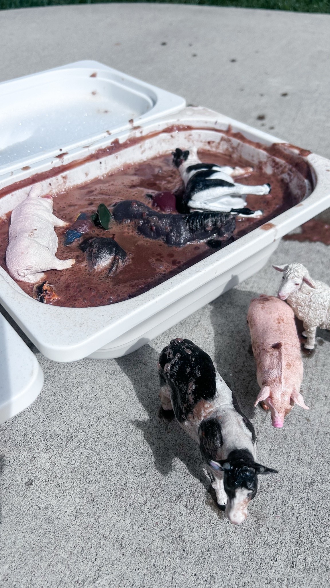 East toddler activity 🐮🧼

#LTKmomlife #LTKKids #LTKSeasonal