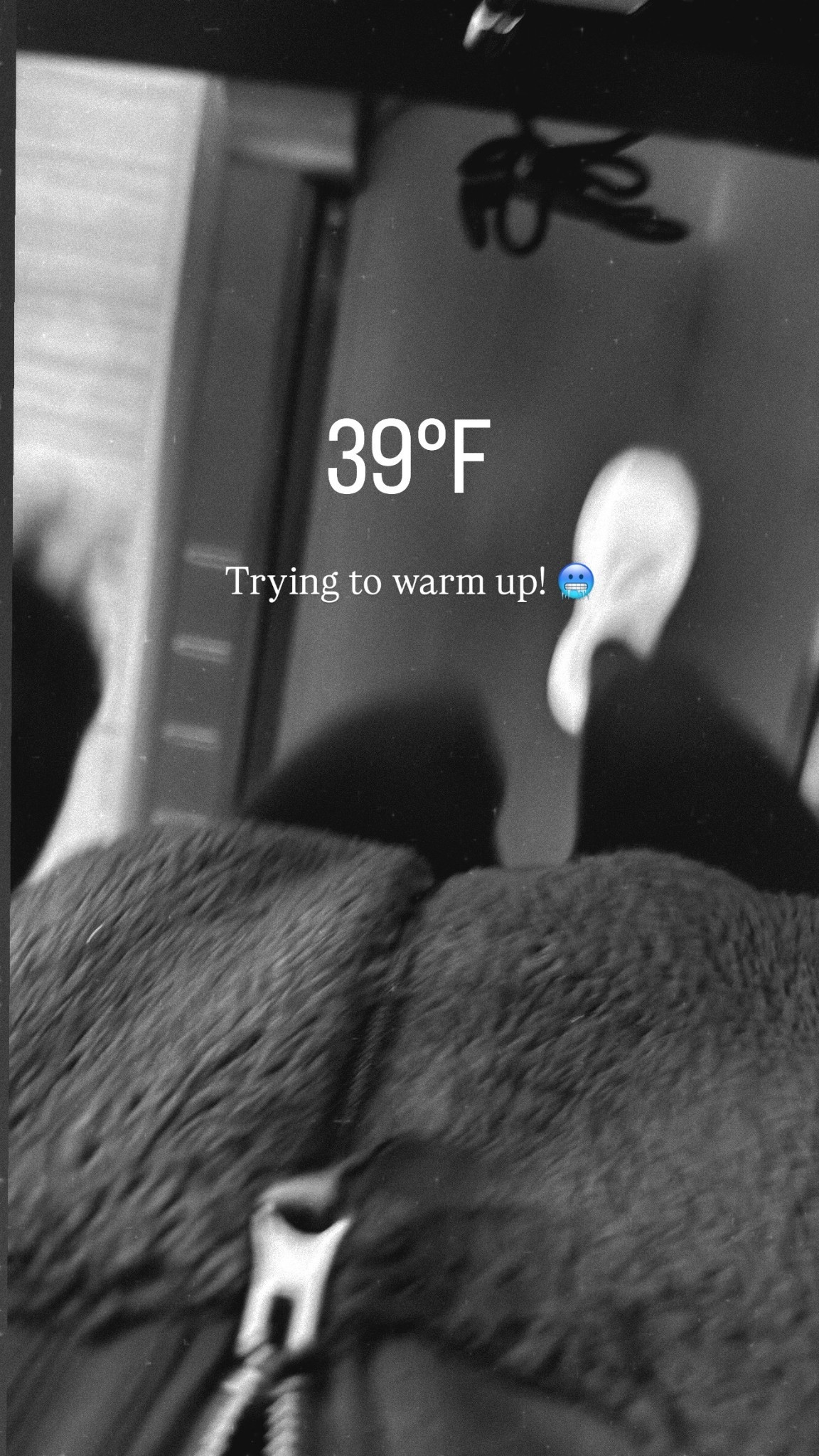 Running to stay warm!

#LTKOver40 #LTKActive