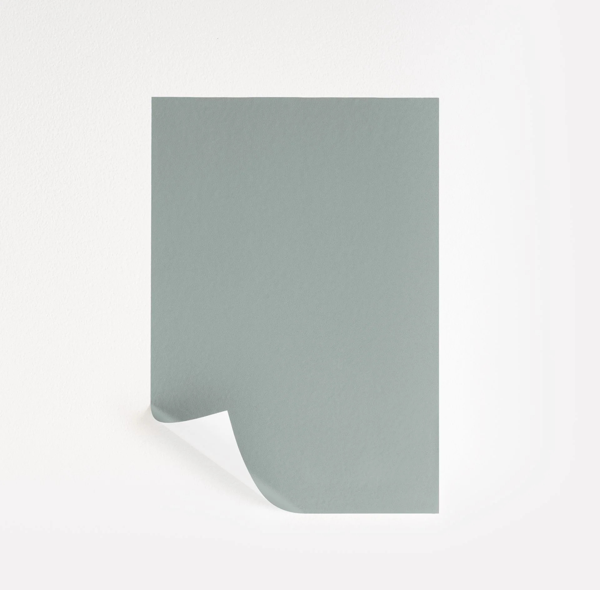 Silver Mink Paint Sample by Benjamin Moore (1586) | Peel & Stick Paint Sample | Samplize