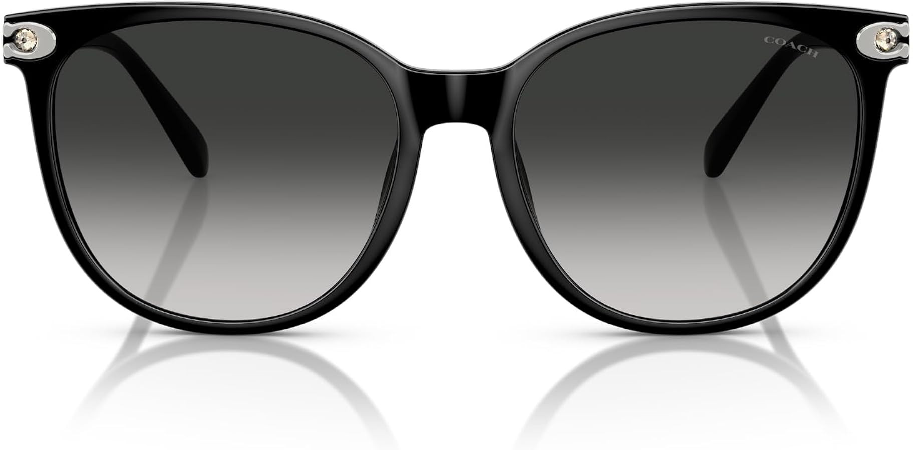 COACH womens Hc 8414bd Round Sunglasses | Amazon (US)