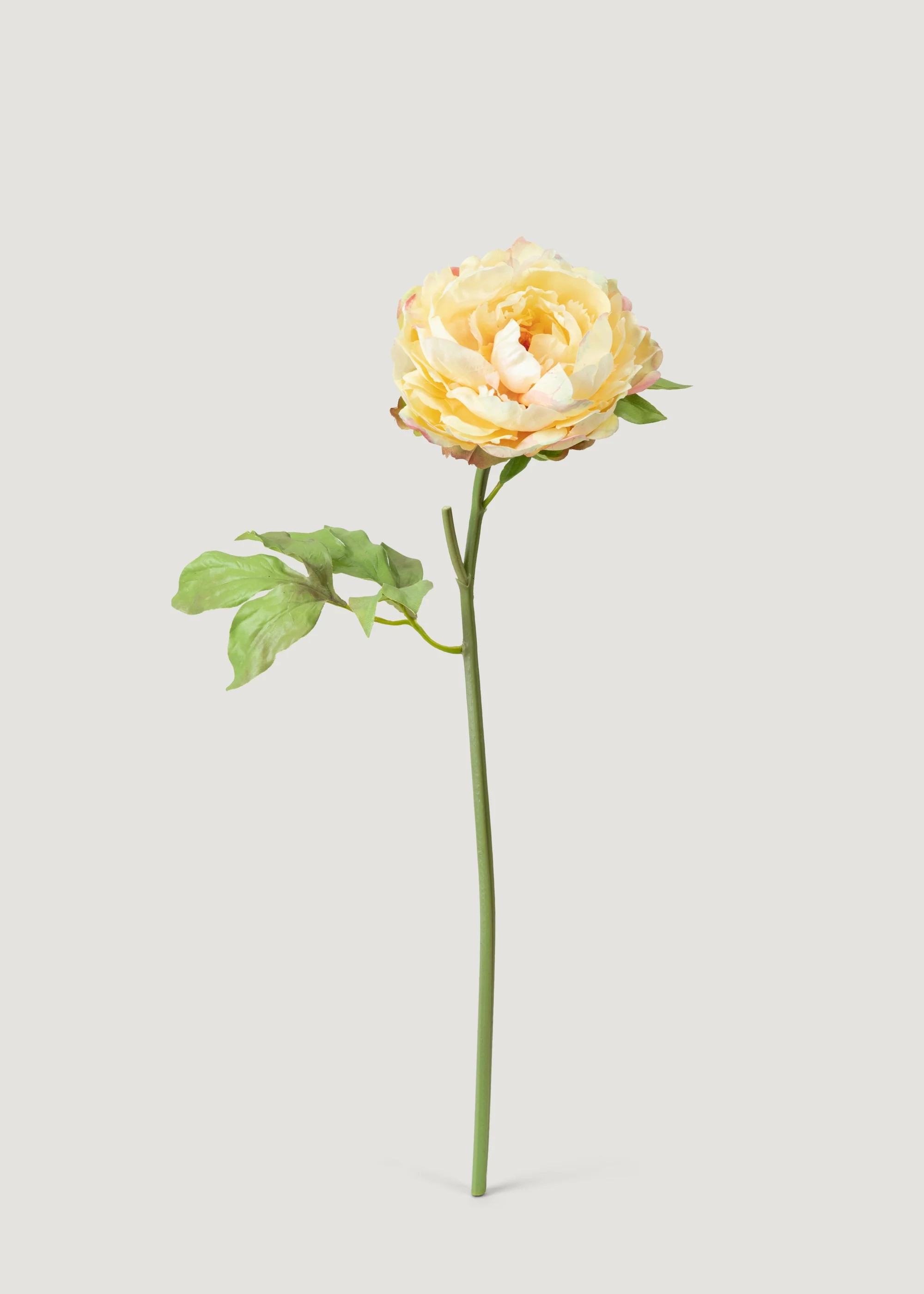 Real Touch Peony in Yellow | Realistic Artificial Flowers | Afloral | Afloral