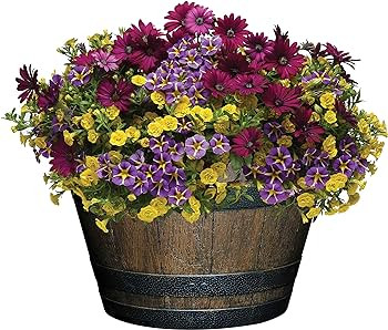 Classic Home and Garden S1027D-037Rnew Whiskey Barrel Planter, 20.5", Kentucky Walnut | Amazon (US)