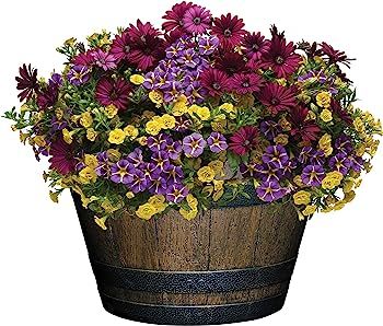 Classic Home and Garden S1027D-037Rnew Whiskey Barrel Planter, 20.5", Kentucky Walnut | Amazon (US)
