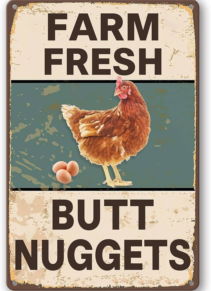 Vintage Metal Signs Chicken Coop Signs for Farm Yard Decor, Farm Tin Signs for Home Kitchen Outdo... | Amazon (US)