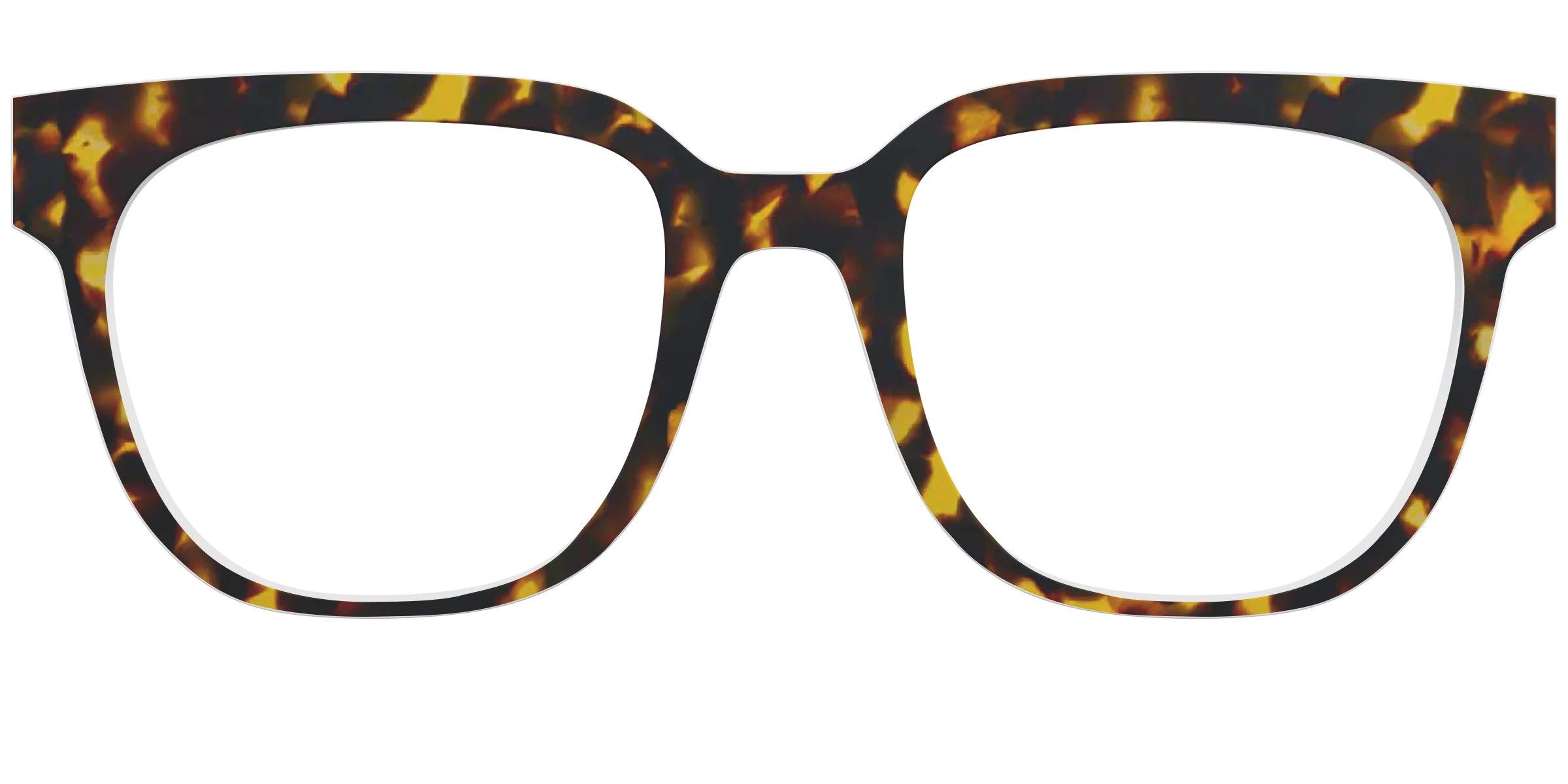 The Tortoise | Pair Eyewear