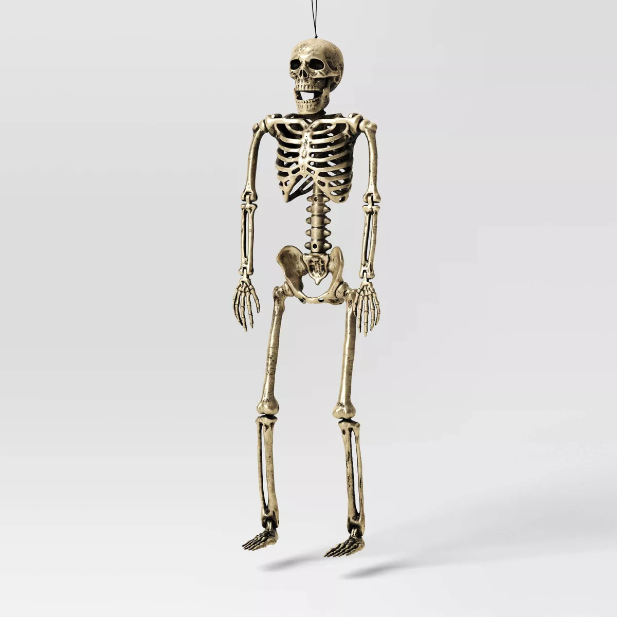24" Poseable Skeleton Halloween Decorative Prop Shiny Champagne with Weathered Finish - Hyde and ... | Target