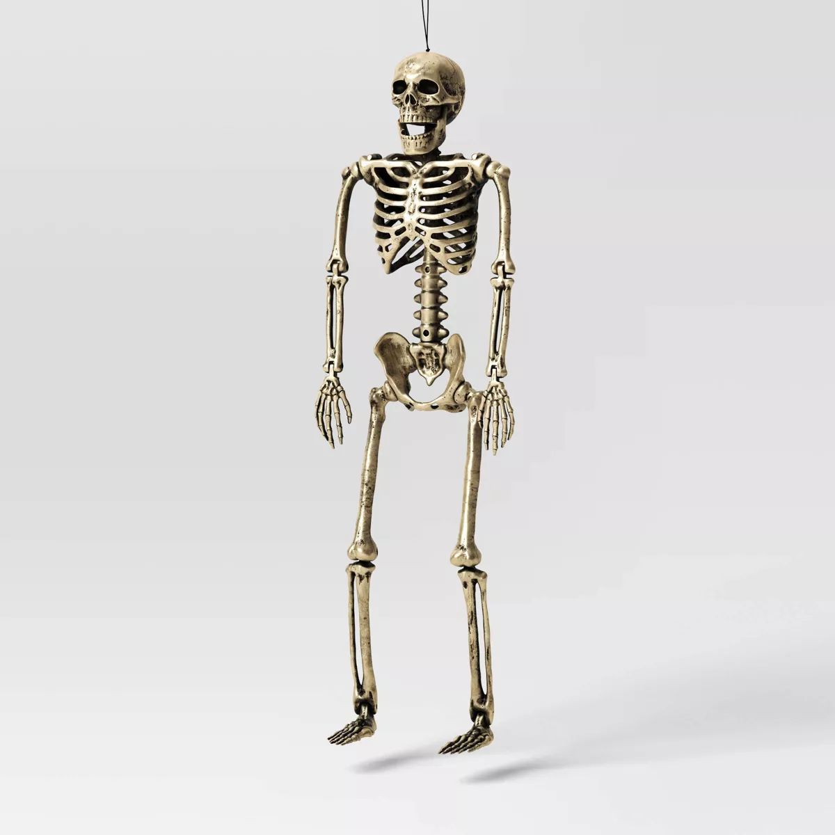 24" Skeleton Halloween Decorative Prop Champagne - Hyde & EEK! Boutique™ | Target