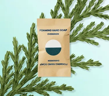 $25$2.50 /tablet | Blueland