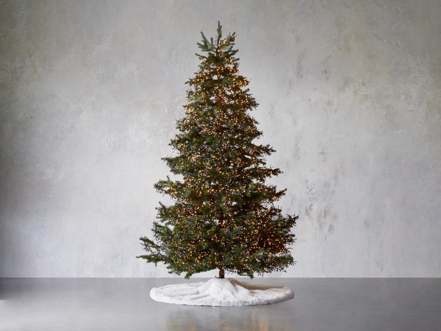 Illuminated Faux Monaco Pine | Arhaus | Arhaus
