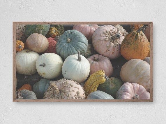 Pretty Pumpkins Samsung Frame TV Art Instant Download Fall - Etsy | Etsy (US)