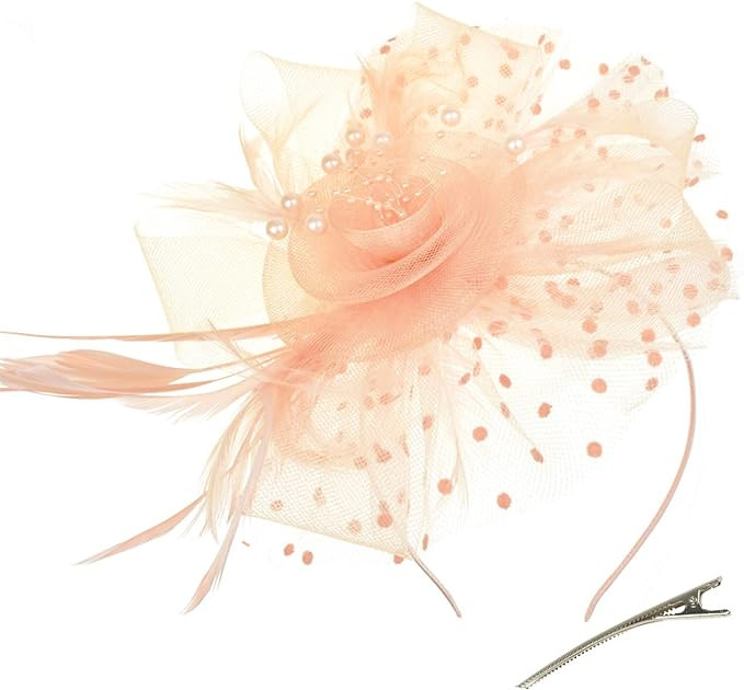 DRESHOW Fascinators Hat Flower Mesh Ribbons Feathers on a Headband and a Clip Tea Party Headwear ... | Amazon (US)