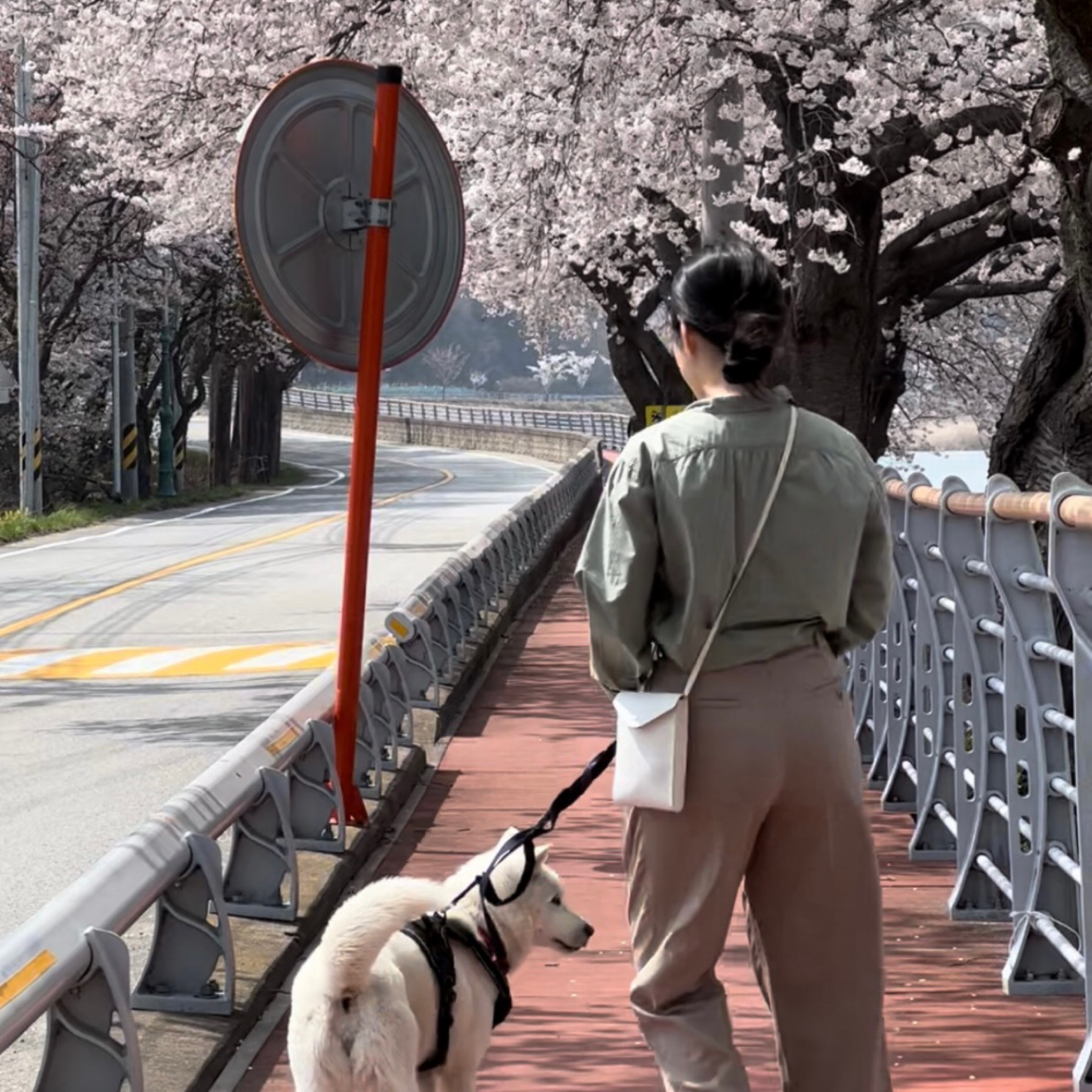 Romantic day with 🐶💌🌸

#LTKitbag #LTKGiftGuide #LTKSeasonal