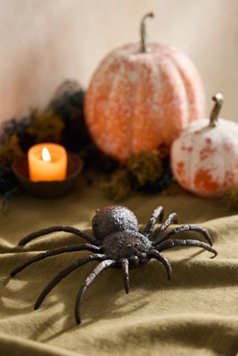 Cast Brass Spider | Anthropologie (US)