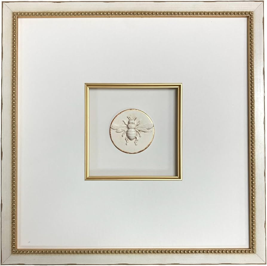 12" x 12" Framed Insect Intaglios (Queen Bee) | Amazon (US)